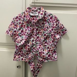 Tatyana Multicolor Fruit Print Crop Top